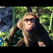 The Facts About Coldplay Adventure Of A Lifetime Song