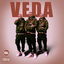 VEDA cover