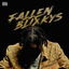 Fallen Blixkys cover