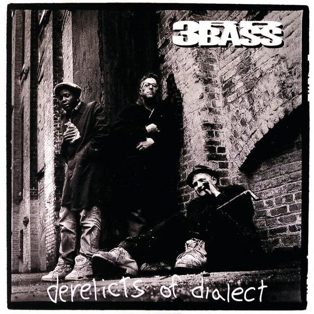 3rd Bass profile