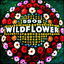 Wildflower cover