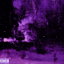 40 Feet cover