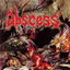 Madness and Parasites cover