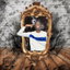 Real Wit Me cover