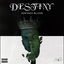 Destiny cover