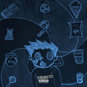 Akaash Money - Paranoid! Lyrics Meaning | Lyreka