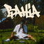 Bahia cover