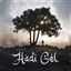 Hadi Gel cover