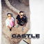 Castle cover