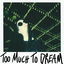 Too Much to Dream cover