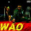 Wao cover