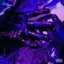 Patterns cover