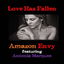 Love Has Fallen cover