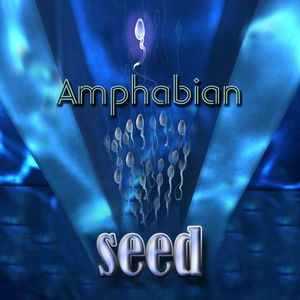 Seed