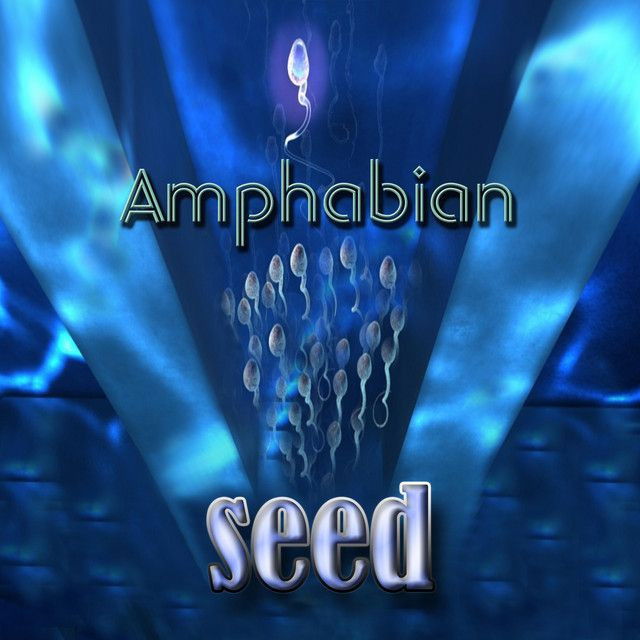 Seed