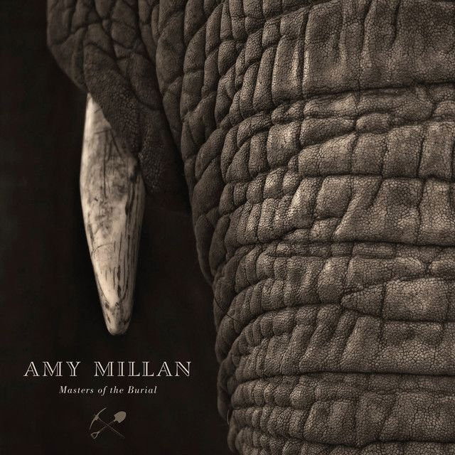 Amy Millan profile