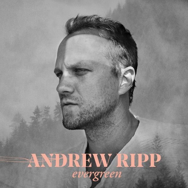 Andrew Ripp profile