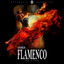 Flamenco cover