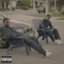 Benzo cover