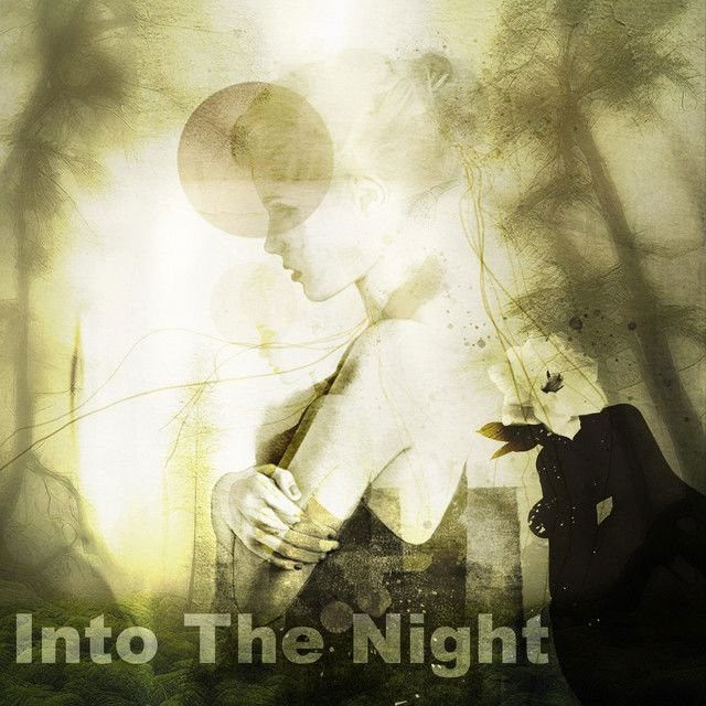 Into The Night