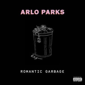 Romantic Garbage