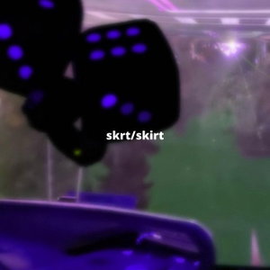 Skrt/Skirt