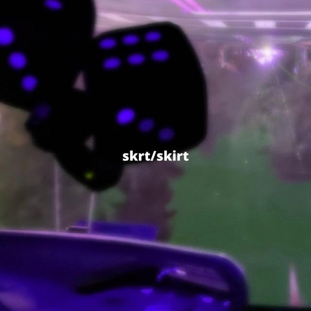 Skrt/Skirt