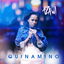 Quinamino cover