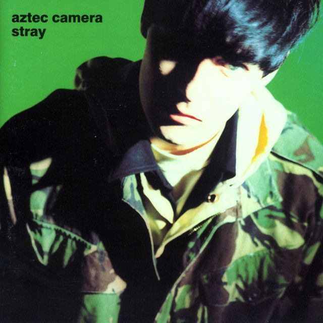 Aztec Camera profile