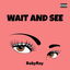 Wait and See cover