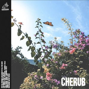 Cherub