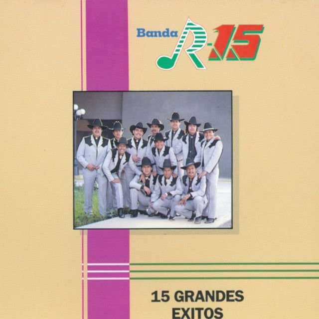 Banda R-15 profile