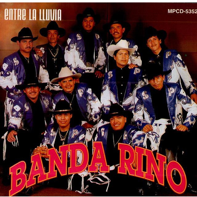 Banda Rino profile