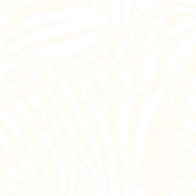 Used to Be