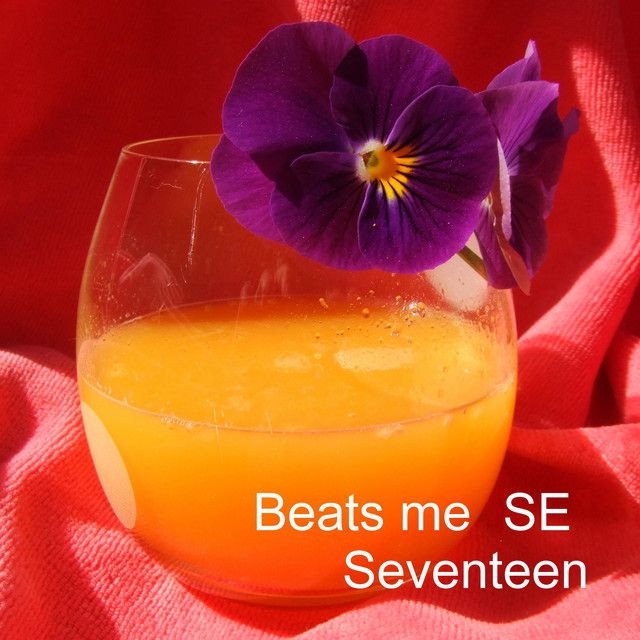 Outer Body Experience