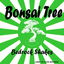 Bonsai Tree cover