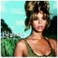 Irreplaceable cover