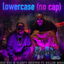 Lower Case (no cap) cover