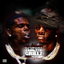 BOP cover