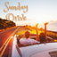 Drive cover