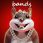 Bands cover