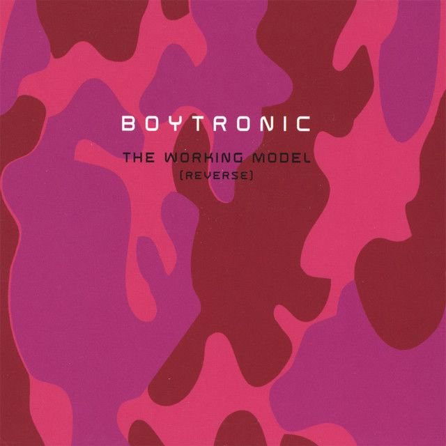 Boytronic profile