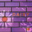 Daisy cover