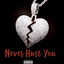 Never Hurt You cover