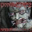 Disfigured cover
