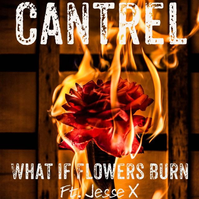 What If Flowers Burn