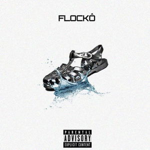 Flockô