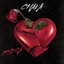 Rosa cover