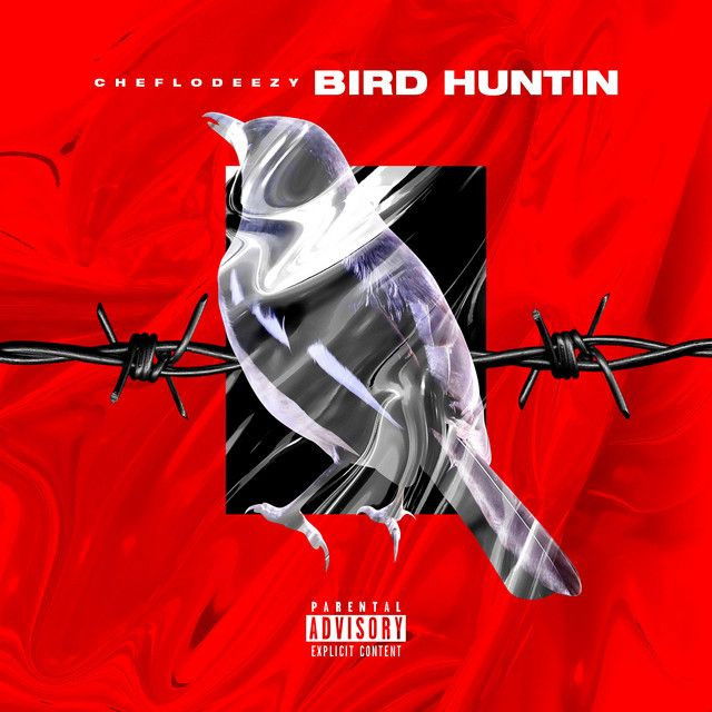 Bird Huntin