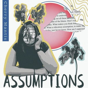 ASSUMPTIONS